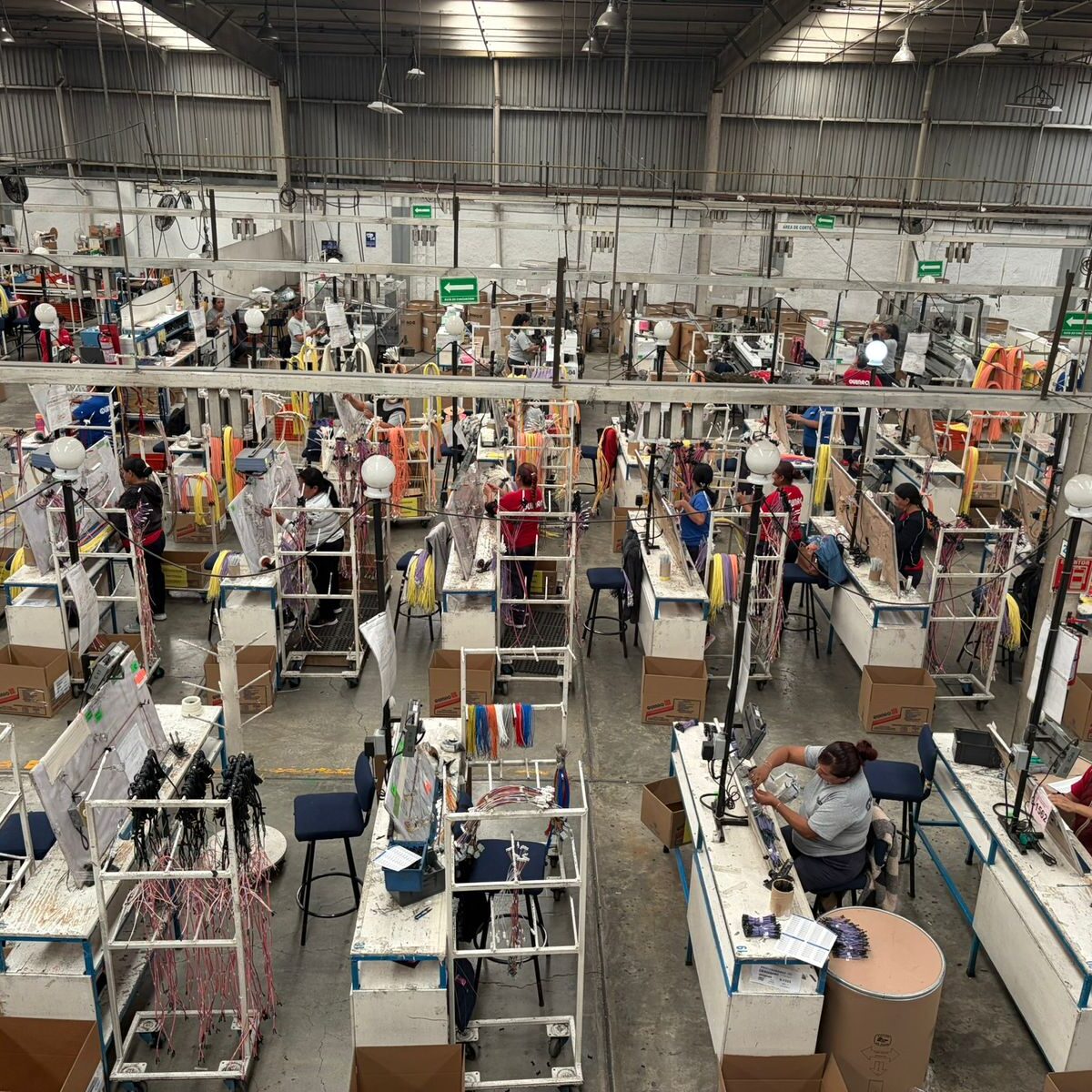 whatsapp image 2026 02 24 at 12.52.33 pm