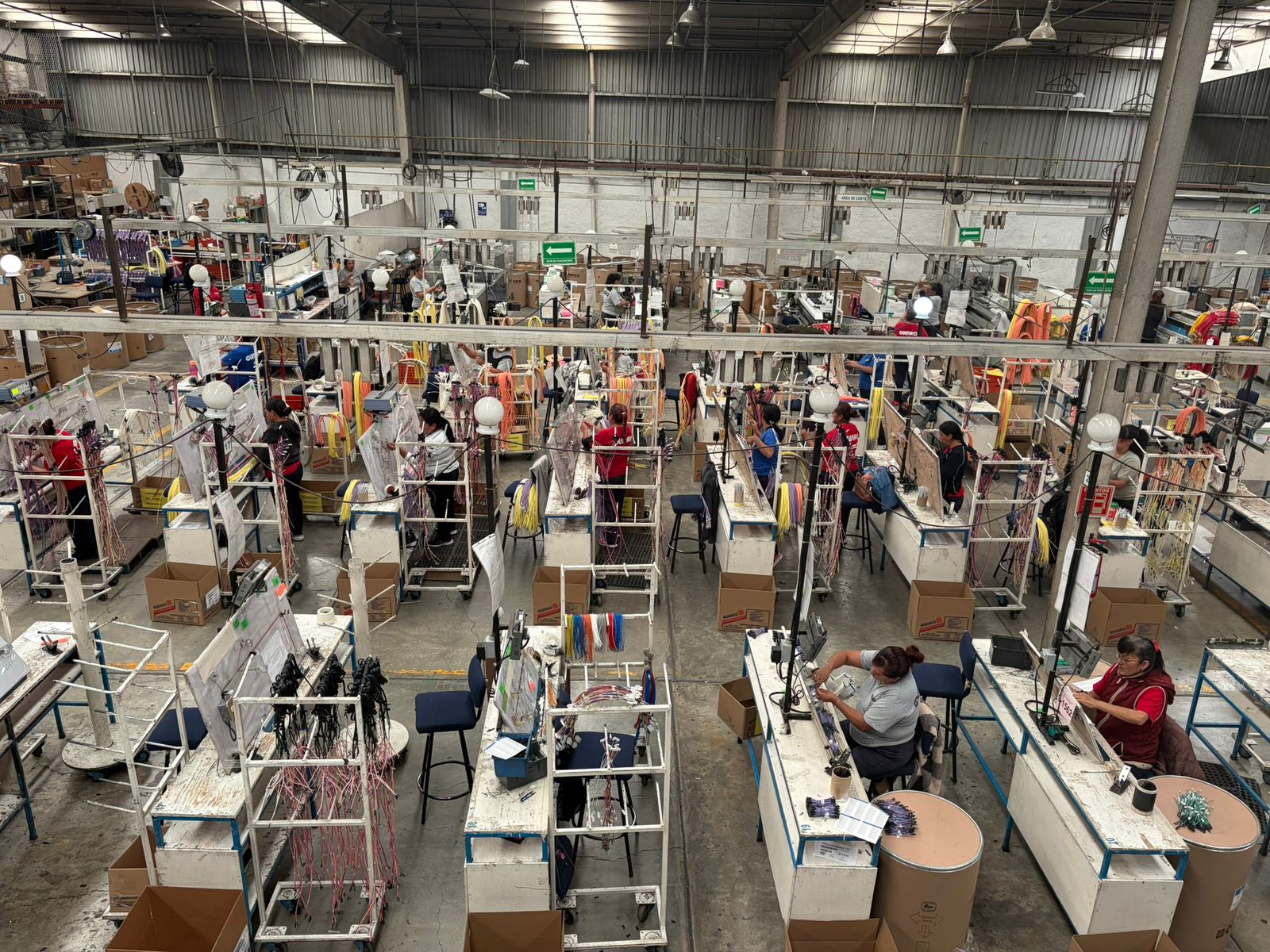 service-1 whatsapp image 2026 02 24 at 12.52.33 pm