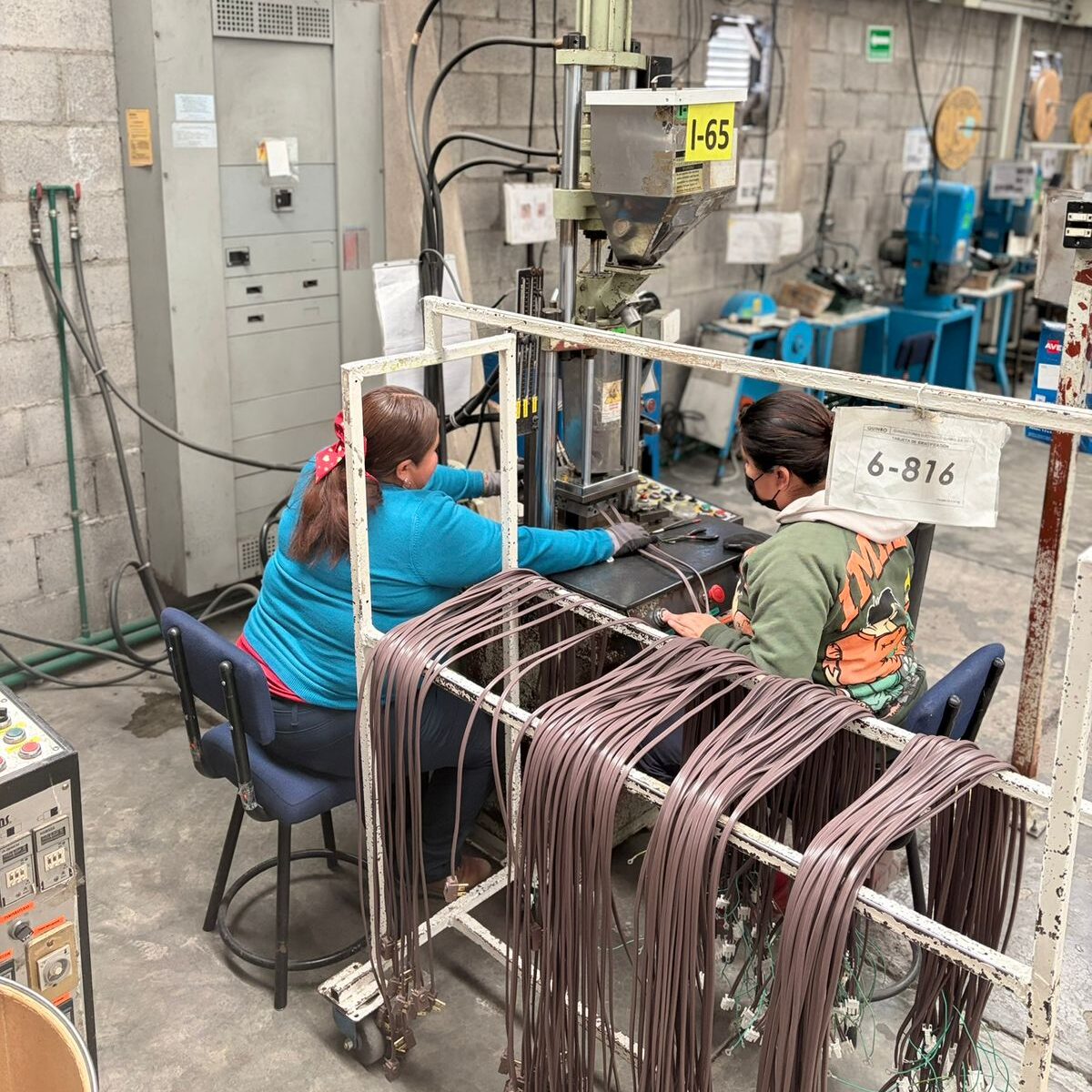 whatsapp image 2026 02 24 at 12.53.57 pm (2)