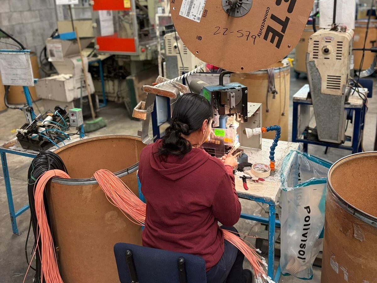 service-1 whatsapp image 2026 02 24 at 12.53.57 pm